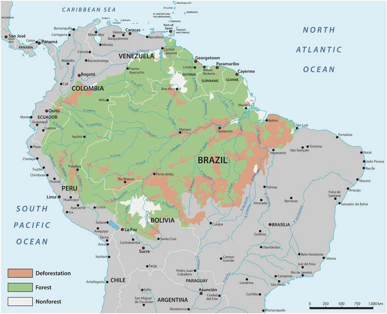 Um mapa mostrando a localiza&ccedil;&atilde;o da Floresta Amaz&ocirc;nica na Am&eacute;rica do Sul.
