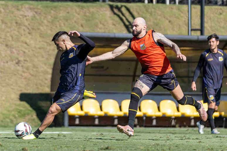 Tigre quer se manter firme nas primeiras coloca&ccedil;&otilde;es &ndash;