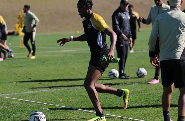 Tigre catarinense vai em busca da quinta vit&oacute;ria consecutiva &ndash;