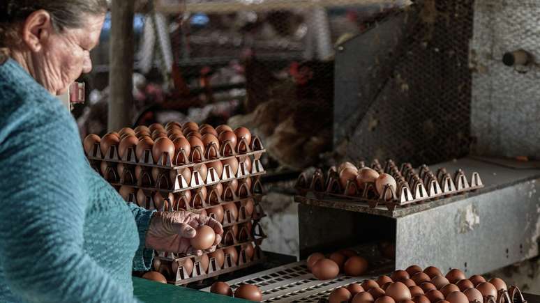 Tanto o frango quanto os ovos da Korin s&atilde;o produzidos por parceiros selecionados que passam por rigorosas auditorias