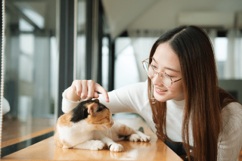 A capacidade dos pets de voltar a confiar nas pessoas gradualmente ensina que a confian&ccedil;a n&atilde;o pode ser imposta, mas conquistada 