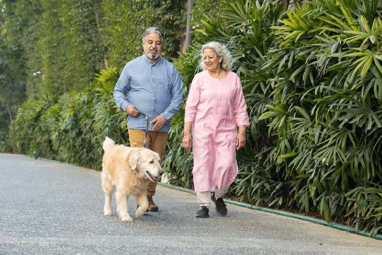 Instabilidade ao caminhar merece aten&ccedil;&atilde;o, especialmente ap&oacute;s os 60 anos 