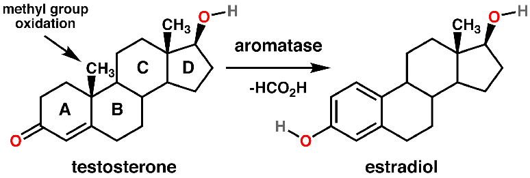 Diagrama qu&iacute;mico da convers&atilde;o da testosterona em estradiol por meio da aromatase