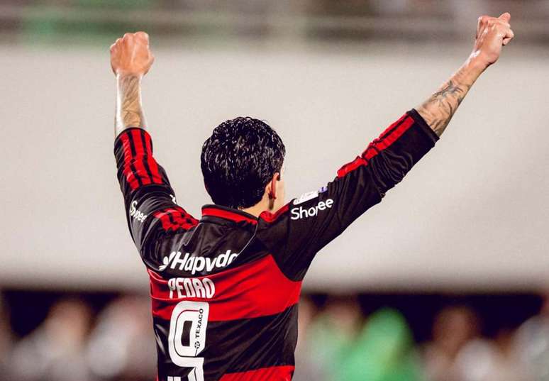 Pedro briga pela artilharia do Brasil em 2026 &ndash;