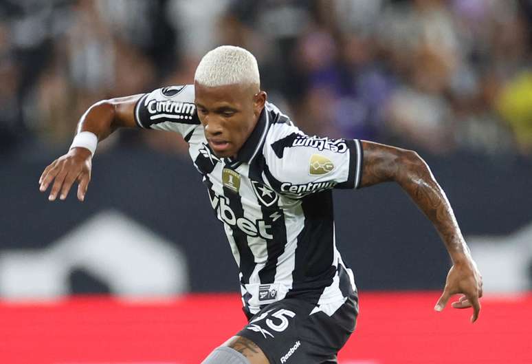 Danilo em campo pelo Botafogo em 2025 &ndash;