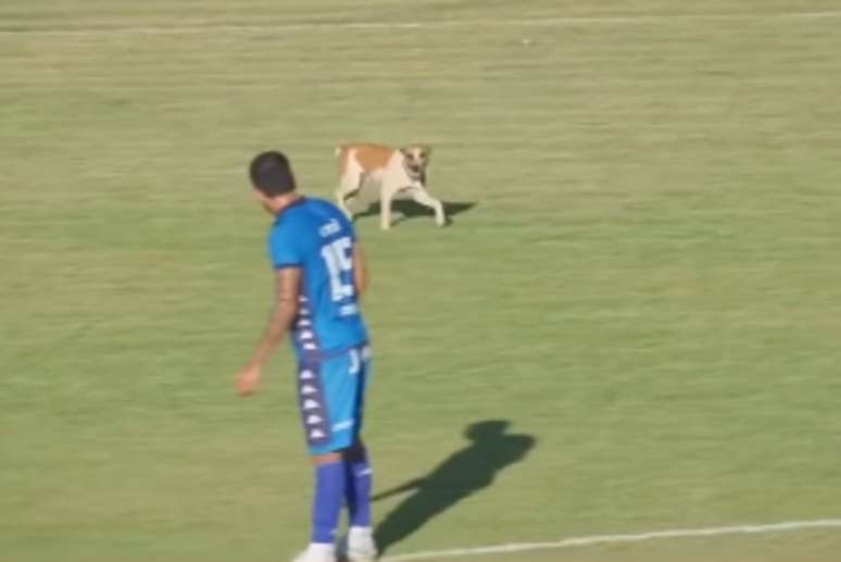 Craque! Com habilidade, imposi&ccedil;&atilde;o e velocidade, Z&eacute; Roberto foge da marca&ccedil;&atilde;o &ndash;