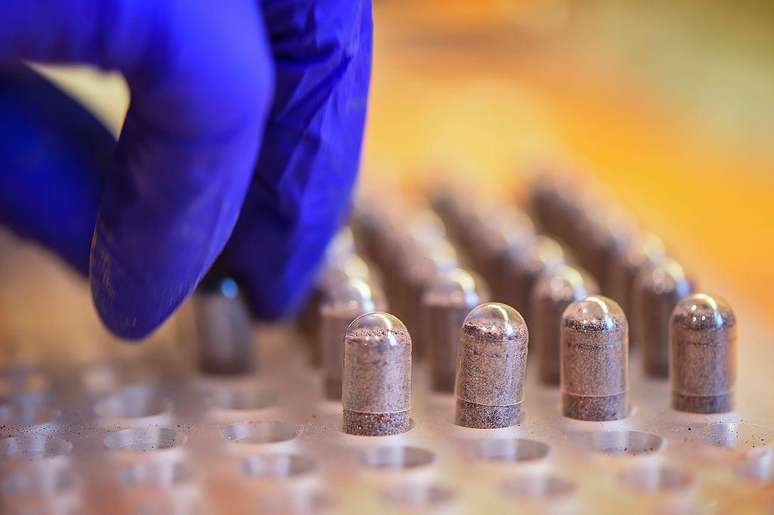 Algumas empresas ao redor do mundo processam a placenta humana para transform&aacute;-la em p&oacute; e a oferecem a rec&eacute;m-m&atilde;es na forma de c&aacute;psulas