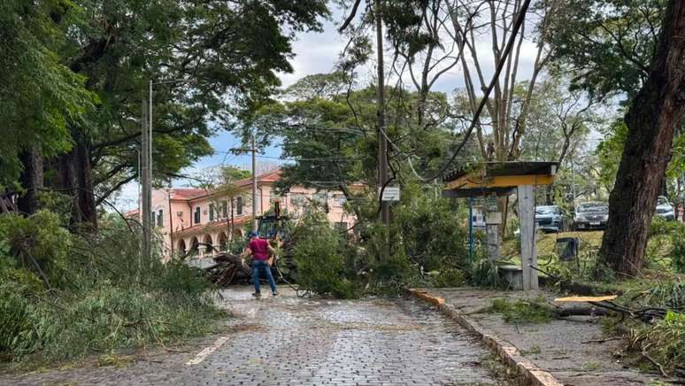 Funcion&aacute;rios tiveram que remover e cortar partes de &aacute;rvores que ca&iacute;ram pela universidade.