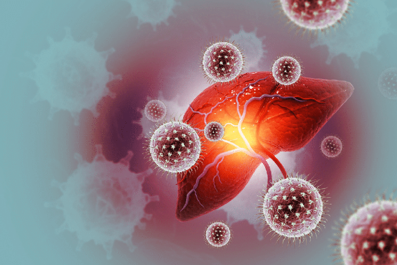 As hepatites virais podem ser transmitidas por meio do contato com sangue contaminado 