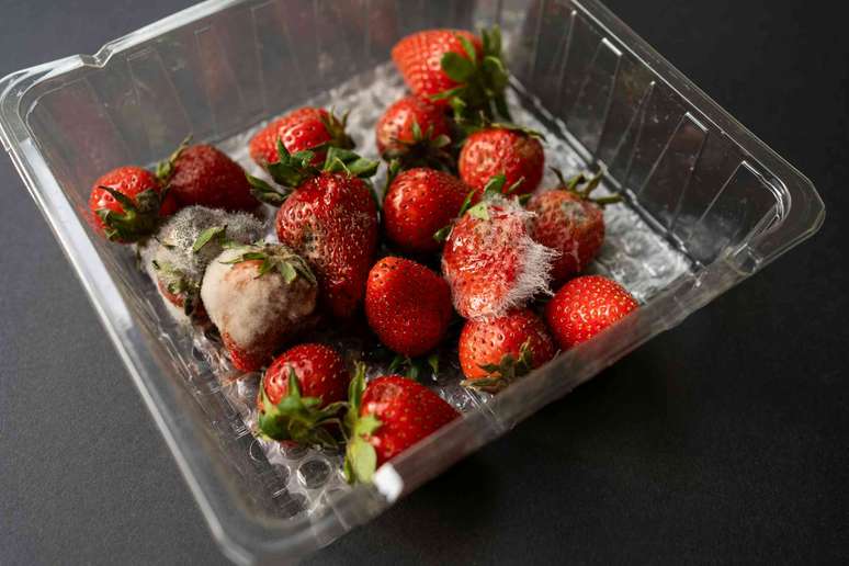 Mesmo uma &uacute;nica fruta podre pode estragar o resto. vfhnb12/ Shutterstock