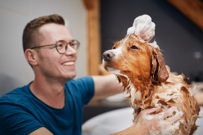 Cuidados simples ajudam a tornar o banho mais seguro e confort&aacute;vel para o animal no inverno 