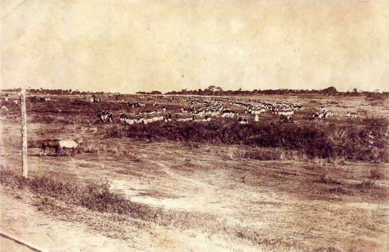 Foto antiga mostra o Ex&eacute;rcito brasileiro na Guerra do Paraguai