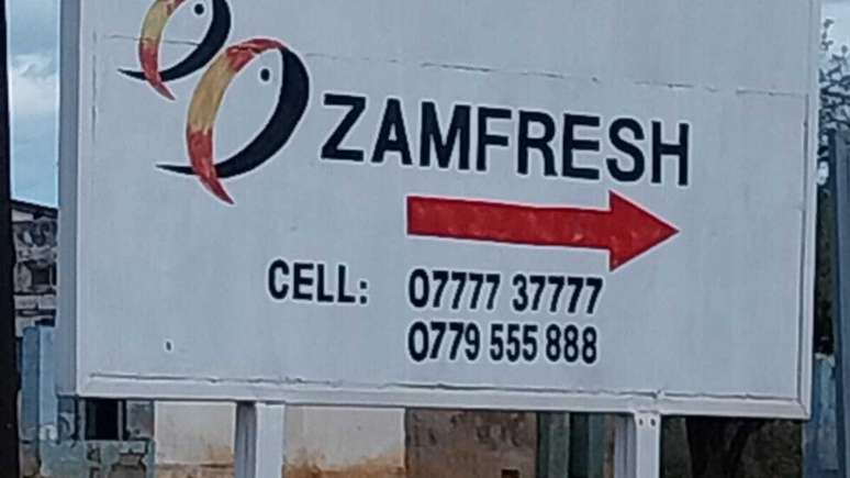 Zamfresh se instalou na China nos anos 2020.