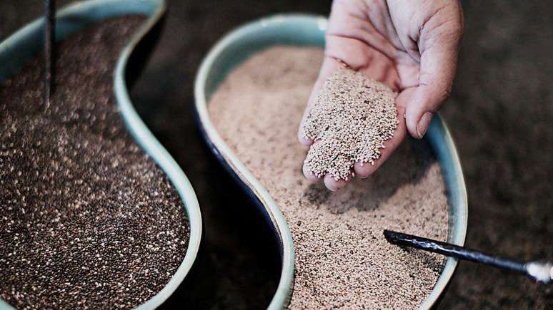 As sementes de chia s&atilde;o ricas em c&aacute;lcio, magn&eacute;sio e f&oacute;sforo, que s&atilde;o ben&eacute;ficos para a sa&uacute;de dos ossos