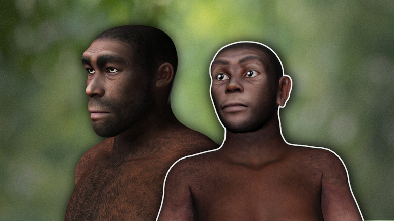 O Homo erectus foi o primeiro dos nossos ancestrais a ter propor&ccedil;&otilde;es corporais similares aos seres humanos. A esp&eacute;cie existiu at&eacute; pelo menos 250 mil anos atr&aacute;s