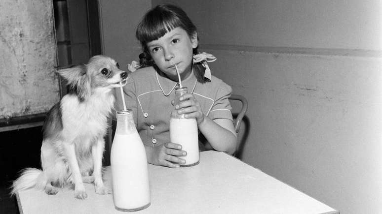 Imagem em preto e branco dos anos 1950, mostrando uma menina e um cachorro tomando leite, cada um com sua garrafa de vidro
