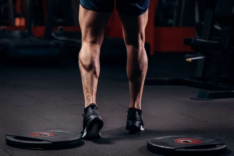 A eleva&ccedil;&atilde;o &eacute; um exerc&iacute;cio que ajuda a fortalecer as panturrilhas 