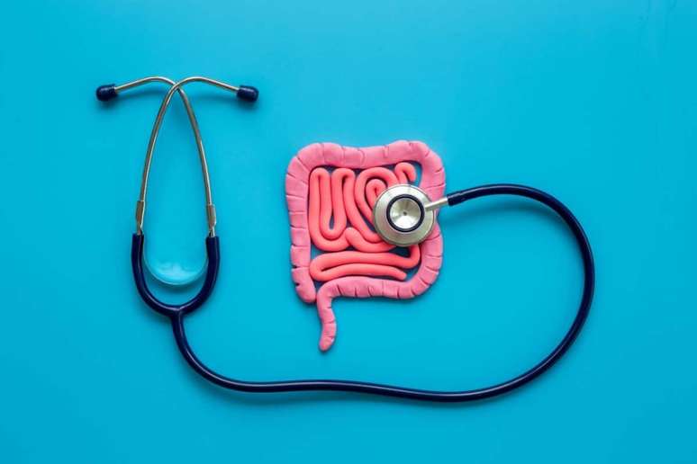 Com a disbiose, podem surgir altera&ccedil;&otilde;es na barreira intestinal e no funcionamento do organismo 