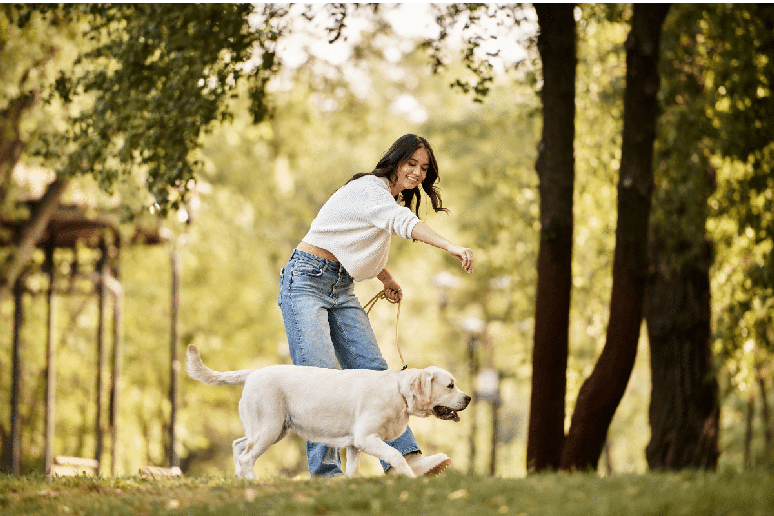 Sempre que poss&iacute;vel, mantenha a rotina do c&atilde;o adulto, como passeios e brincadeiras, para que ele n&atilde;o se sinta deixado de lado 
