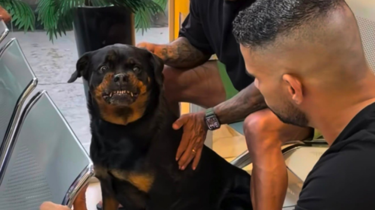 Bruno Lisboa ficou conhecido como 'encantador de feras' 