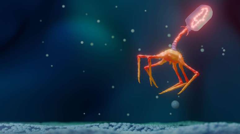 A terapia com bacteri&oacute;fagos &eacute; vista como uma solu&ccedil;&atilde;o potencial para a crescente onda de infec&ccedil;&otilde;es bacterianas que n&atilde;o podem ser tratadas com antibi&oacute;ticos