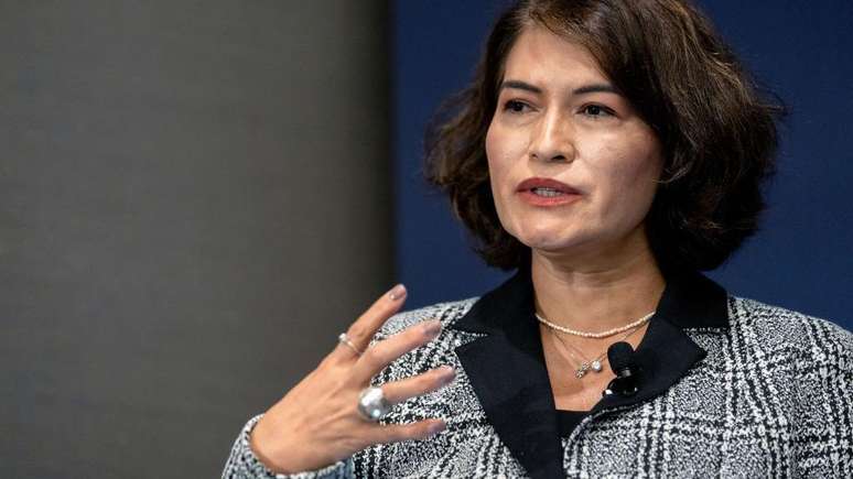 Elbia Gannoum, presidente da Abee&oacute;lica, diz que &eacute; preciso diferenciar a energia e&oacute;lica e solar de grande porte e a gera&ccedil;&atilde;o solar distribu&iacute;da ou 'energia de telhado'