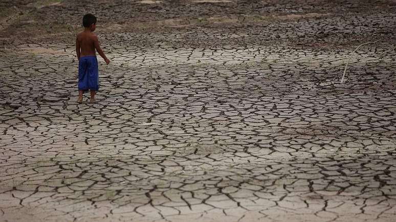 Devido ao El Ni&ntilde;o, "neste ano s&atilde;o esperadas secas potencialmente hist&oacute;ricas na bacia amaz&ocirc;nica", diz Cordero