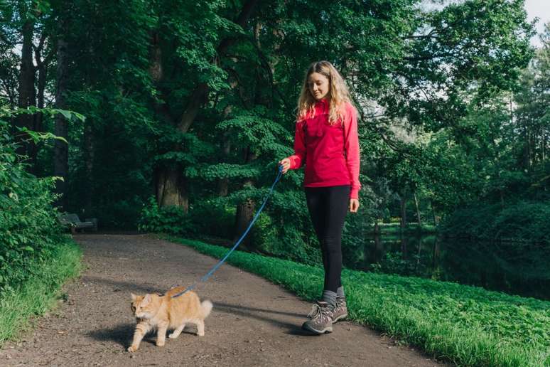 Hor&aacute;rios com temperaturas mais amenas e menor ressecamento do ar s&atilde;o os mais indicados para passear com os pets 