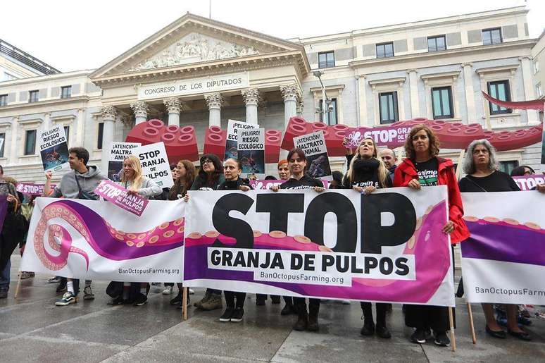 O projeto de cria&ccedil;&atilde;o de polvos da Nueva Pescanova enfrentou uma rejei&ccedil;&atilde;o generalizada desde o in&iacute;cio