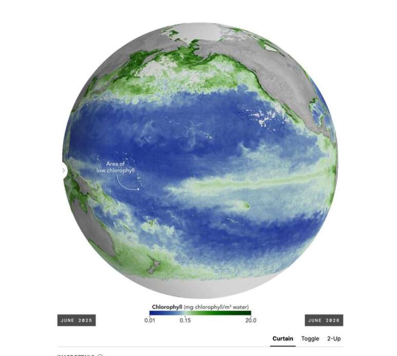 Imagem de junho de 2026 mostra &aacute;rea de baixa concentra&ccedil;&atilde;o de clorofila no Pac&iacute;fico durante a intensifica&ccedil;&atilde;o do El Ni&ntilde;o; redu&ccedil;&atilde;o indica menor abund&acirc;ncia de fitopl&acirc;ncton