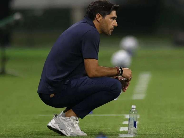 Foto: Cesar Greco/ Palmeiras