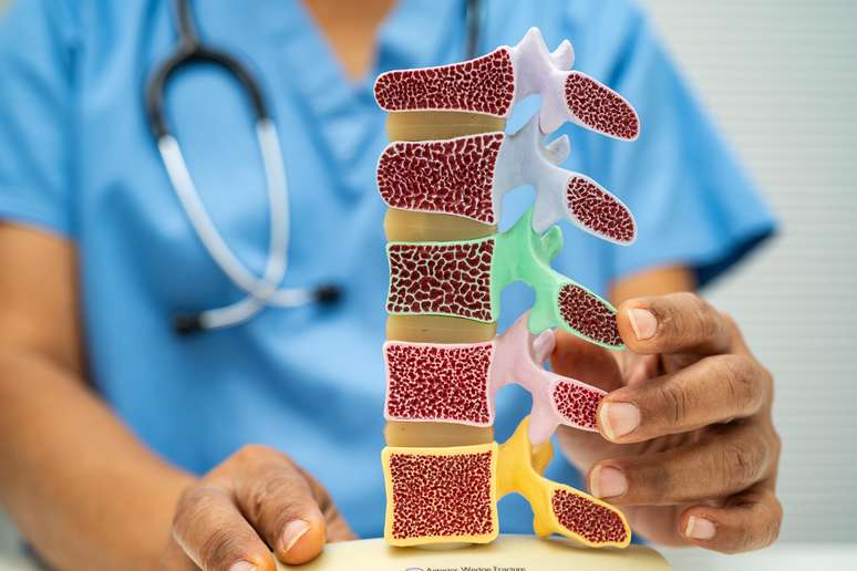 Terapia hormonal na menopausa reduz drasticamente o risco de baixa densidade &oacute;ssea