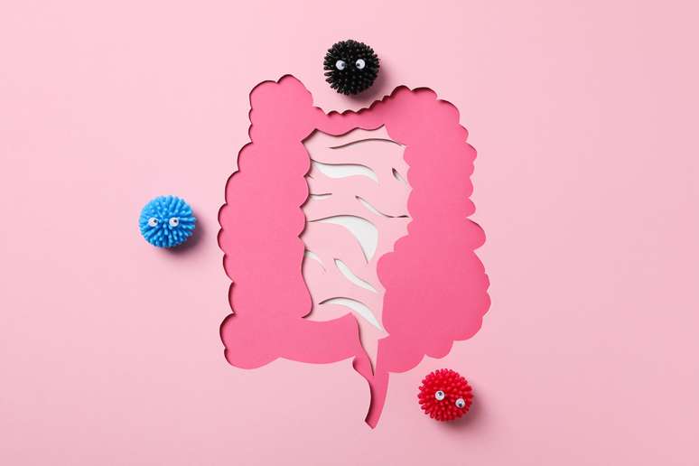 Como a elimina&ccedil;&atilde;o do a&ccedil;&uacute;car pode alterar o microbioma intestinal?