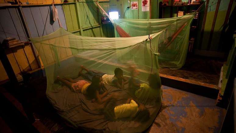 Brasil ainda &eacute; uma das regi&otilde;es end&ecirc;micas de mal&aacute;ria, sobretudo na Amaz&ocirc;nia
