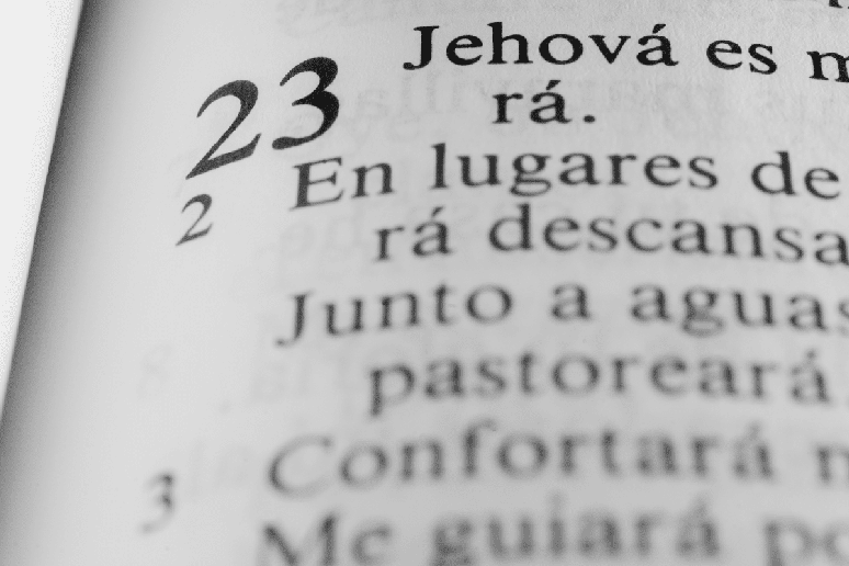 O Salmo 23 ilustra o cuidado e provis&atilde;o divina em momentos de prova&ccedil;&atilde;o 