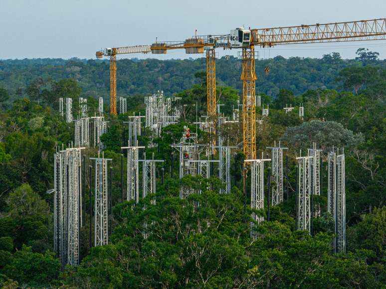 O AmazonFACE utiliza estruturas instaladas entre as &aacute;rvores para aumentar artificialmente a concentra&ccedil;&atilde;o de di&oacute;xido de carbono (CO₂) em determinadas parcelas da floresta e observar como o ecossistema reage