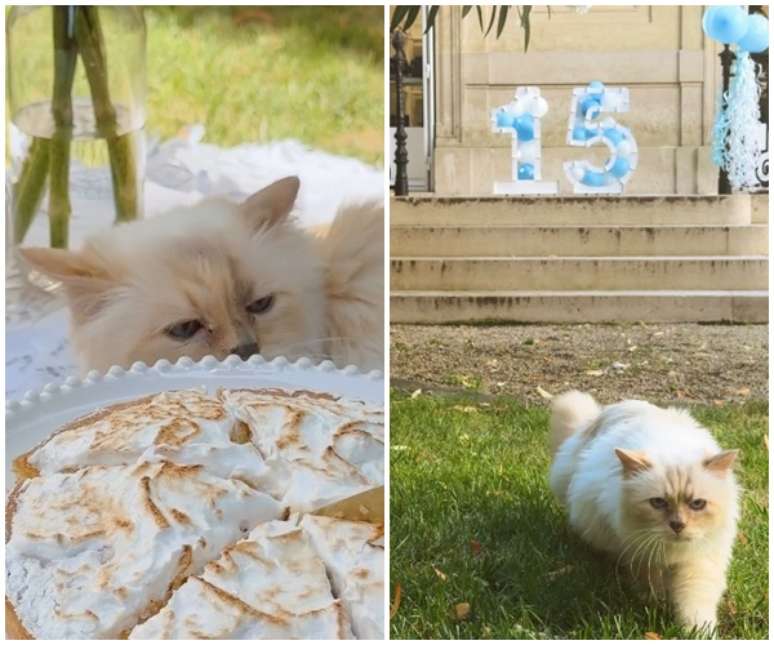 Senhorita Choupette ganhou bolo e decora&ccedil;&atilde;o pelos 15 anos: joyeux anniversaire!