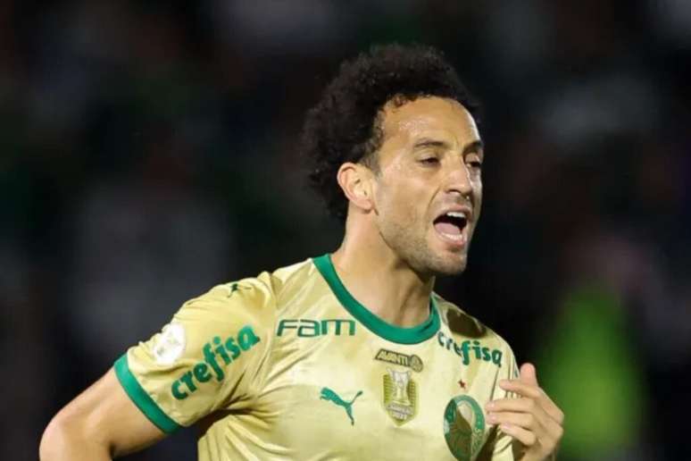 Felipe Anderson em a&ccedil;&atilde;o pelo Palmeiras