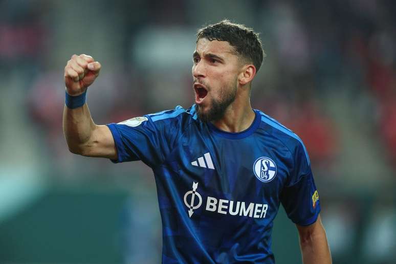 Ljubicic celebra o primeiro gol do Schalke.