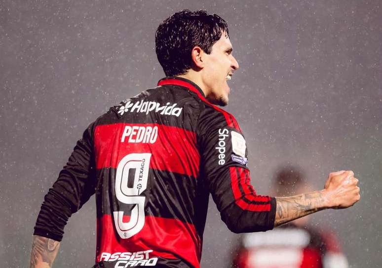 Pedro est&aacute; a dois gols de Pel&eacute; na lista de artilheiros do Brasileir&atilde;o &ndash;