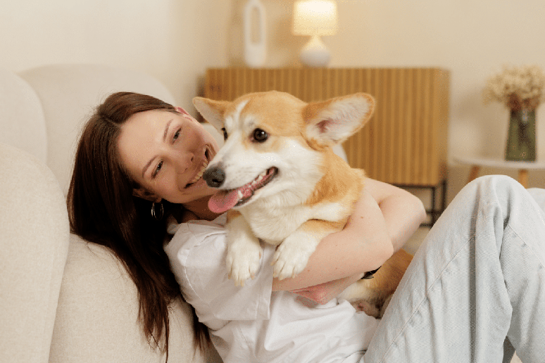 Fazer carinho no c&atilde;o pode aumentar a oxitocina e reduzir o cortisol e a frequ&ecirc;ncia card&iacute;aca, contribuindo para o controle do estresse e o aumento do bem-estar 