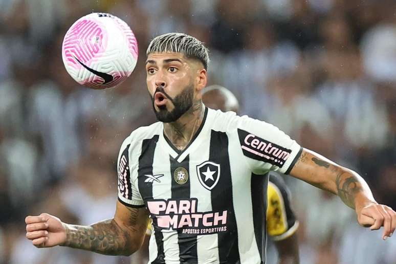 Alexander Barboza em a&ccedil;&atilde;o pelo Botafogo