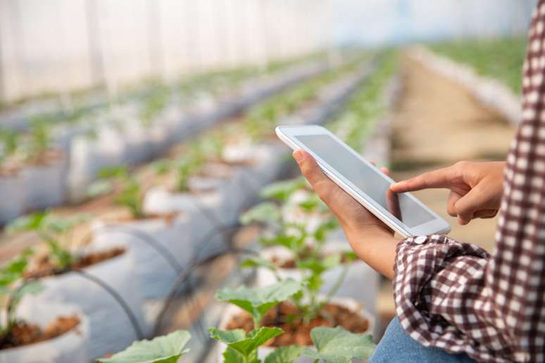 Projetos que envolvendo o agro e a tecnologia s&atilde;o essenciais para desenvolvimento do pa&iacute;s, segundo especialistas