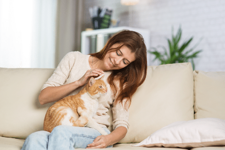 Subir no colo do tutor de forma espont&acirc;nea &eacute; um dos principais sinais de que o gato est&aacute; pedindo carinho 