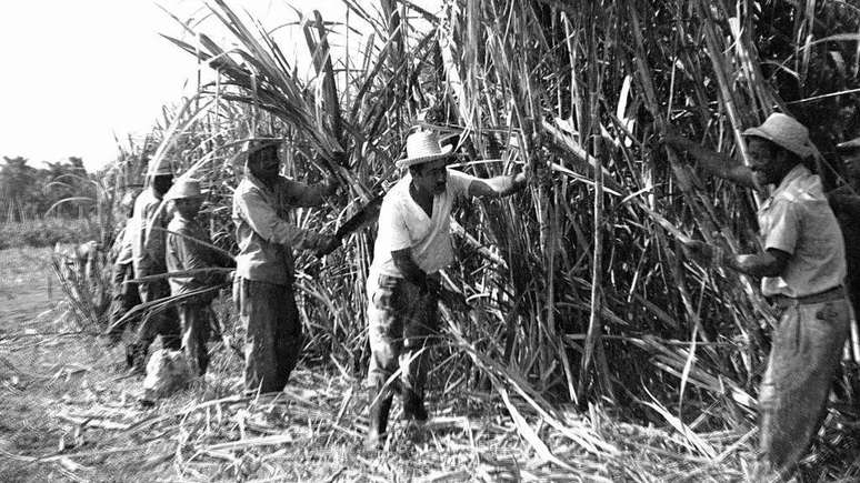 Em 1970, o governo de Fidel Castro mobilizou enormes recursos e m&atilde;o de obra de outros setores para tentar alcan&ccedil;ar uma safra recorde de 10 milh&otilde;es de toneladas de a&ccedil;&uacute;car, mas ficou em cerca de 8,5 milh&otilde;es, e o esfor&ccedil;o acabou desorganizando boa parte da economia