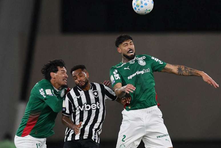 Palmeiras n&atilde;o vence o Botafogo e perde a ponta para o Flamengo.