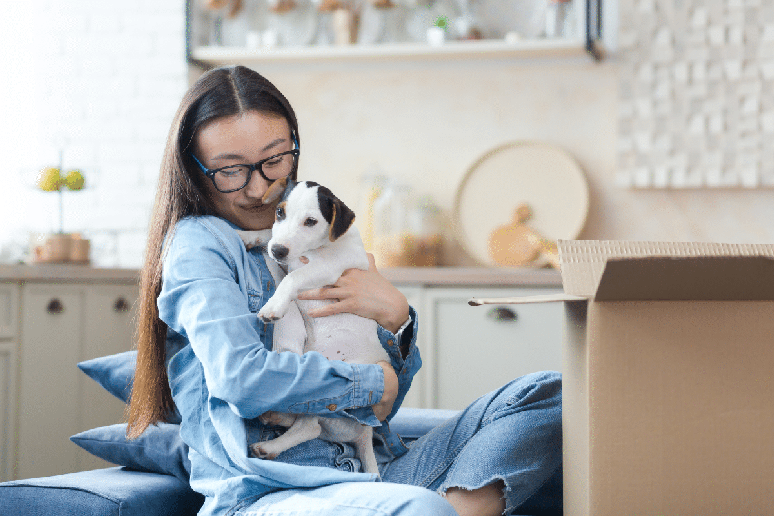 A personalidade do animal tamb&eacute;m influencia a forma como ele demonstra afeto e cria v&iacute;nculos 