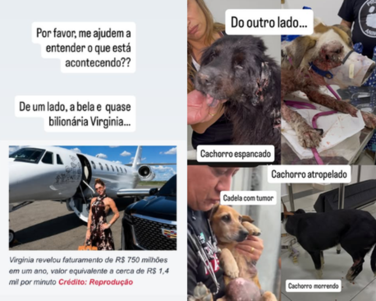 Luisa Mell compartilhou uma sequ&ecirc;ncia de stories em que questiona doa&ccedil;&otilde;es feitas a Virginia