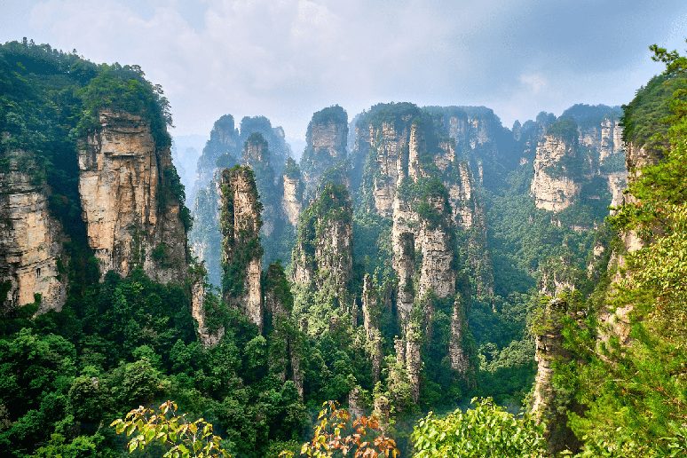 Em Zhangjiajie, colunas de arenito cobertas pela vegeta&ccedil;&atilde;o formam uma paisagem natural impressionante 