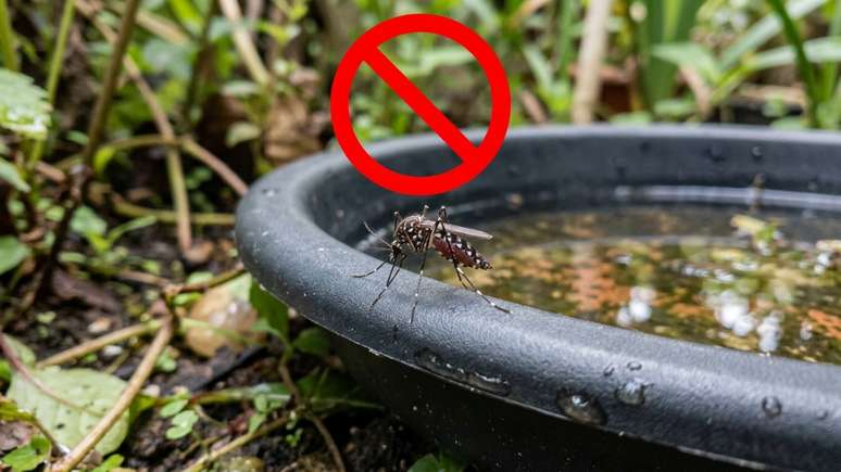 Aguardar o descanso correto sem levantar a tampa garante um arroz soltinho e macio.